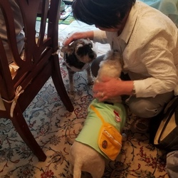 今年も再会ワン!(^^)!