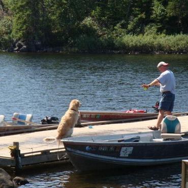 バウンダリーウォーター（国立公園）のワンコ