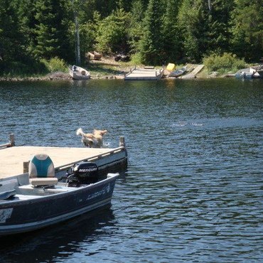 バウンダリーウォーター（国立公園）のワンコ