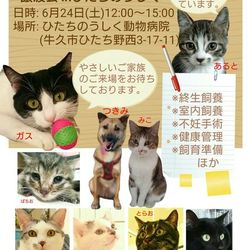 いばらきいきものねっと☆譲渡会☆