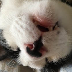 熟睡してますねえ〜お口空いてますよ？