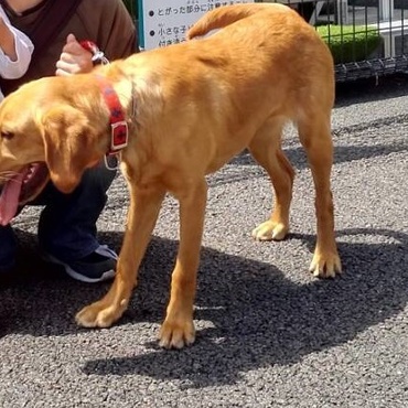 GW樹空の森にて