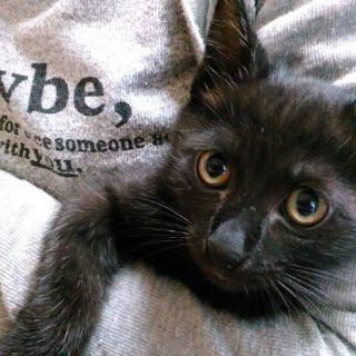 あなたのハート♡を癒します