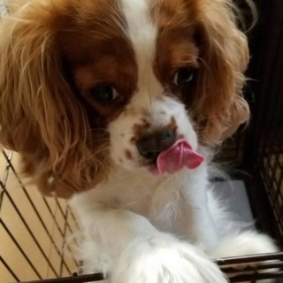 メッセージを下さった方々へ