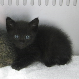 幼い子達に温もりをお願いします。期限6月22日迄！