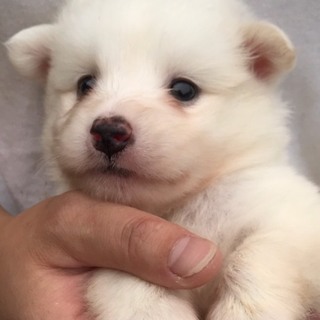 ♂147里親募集中です！