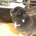 沢山のご応募ありがとうございました！