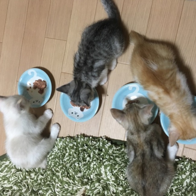 くりbのカバー写真