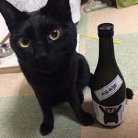 マメ
