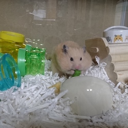 我が家に来てもうすぐ半年