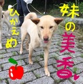 別ルートで決まりました。