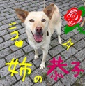 別ルートで決まりました。