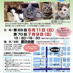 第70回 NPO法人おおさかねこネット　猫の里親会