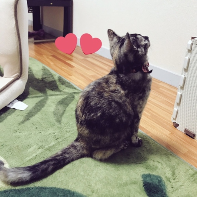 みほたのカバー写真