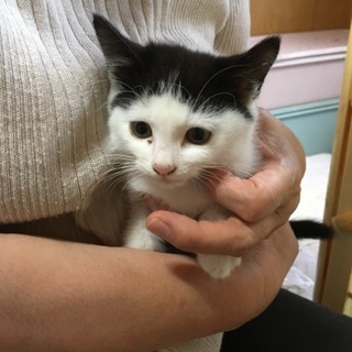 よろしくお願いします