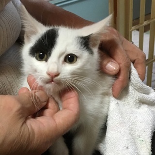 よろしくお願いします