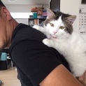 里親さんが決まりました！ ありがとうございました。