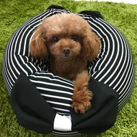 ニコ