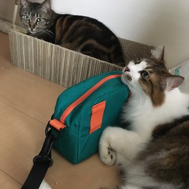 仲良しの弟がいます