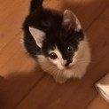 推定3か月の元気いっぱいな男の子