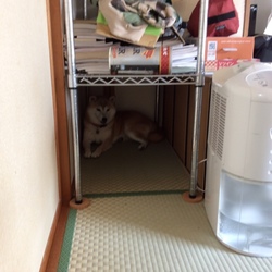 やってしまいました(ToT)