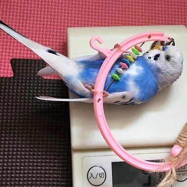 絶対離さなーい！！