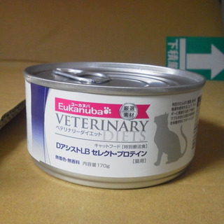 生後１ヶ月の黒子猫♪