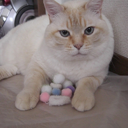 ホールインワン！