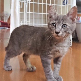 定位置はおひざの上なんです