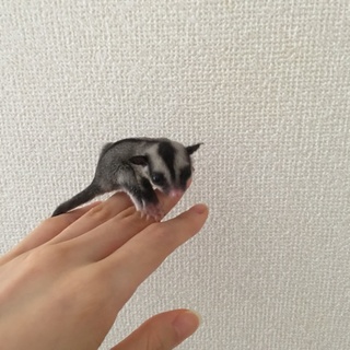 ご応募ありがとうございました