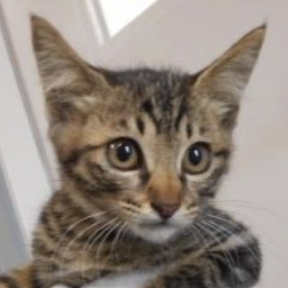 愛護団体さまが引き出して下さいました。