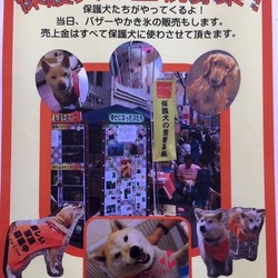 石山とれとれ祭り