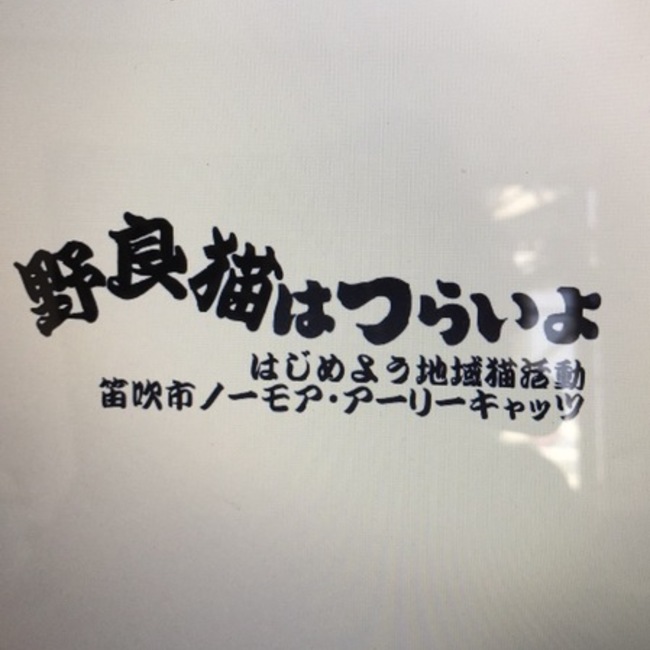 ノーモア アーリーキャッツのカバー写真