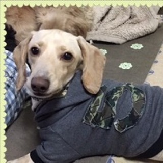 A143ベリー里親募集中です！