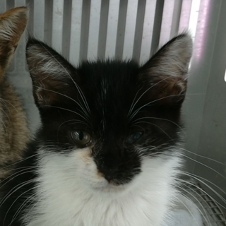 里親決定！！素敵な家族ができました(*´▽｀*)