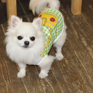 　おかげ様でよいご縁が見つかりました。