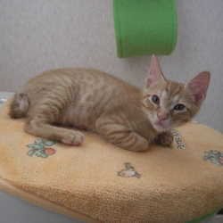 うちの中ﾁｪｯｸ。