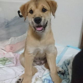 成長時２５キロ！予想・4月23日生まれ！