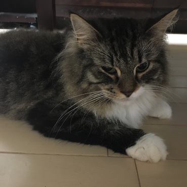 おぼこい(*´∇｀*)