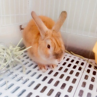 1歳2ヶ月の男の子です