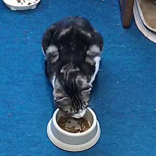 優しいご家族の一員になり幸せになりました☆