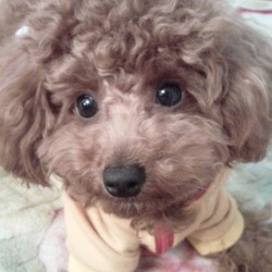 ビフォー➡アフター