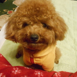 「ビフォー➡アフター」サムネイル2