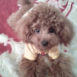 「ビフォー➡アフター」サムネイル3