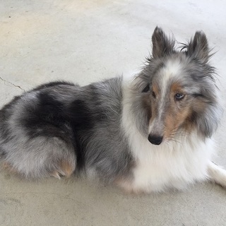 皆さんありがとうございました。