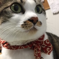 リリス