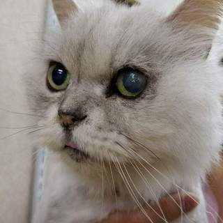 代理募集・史郎さん