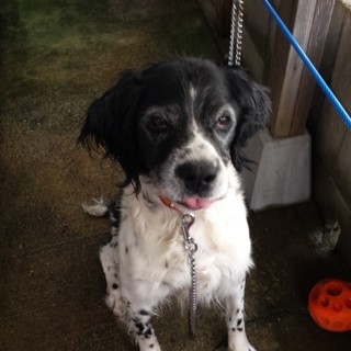 実は甘えん坊のぼく