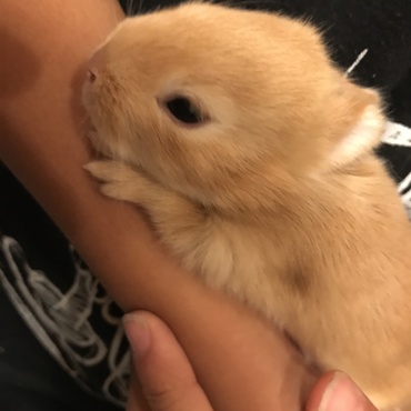 １１日目 目が開いたよ