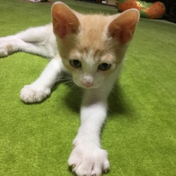 家族になって2日目♪